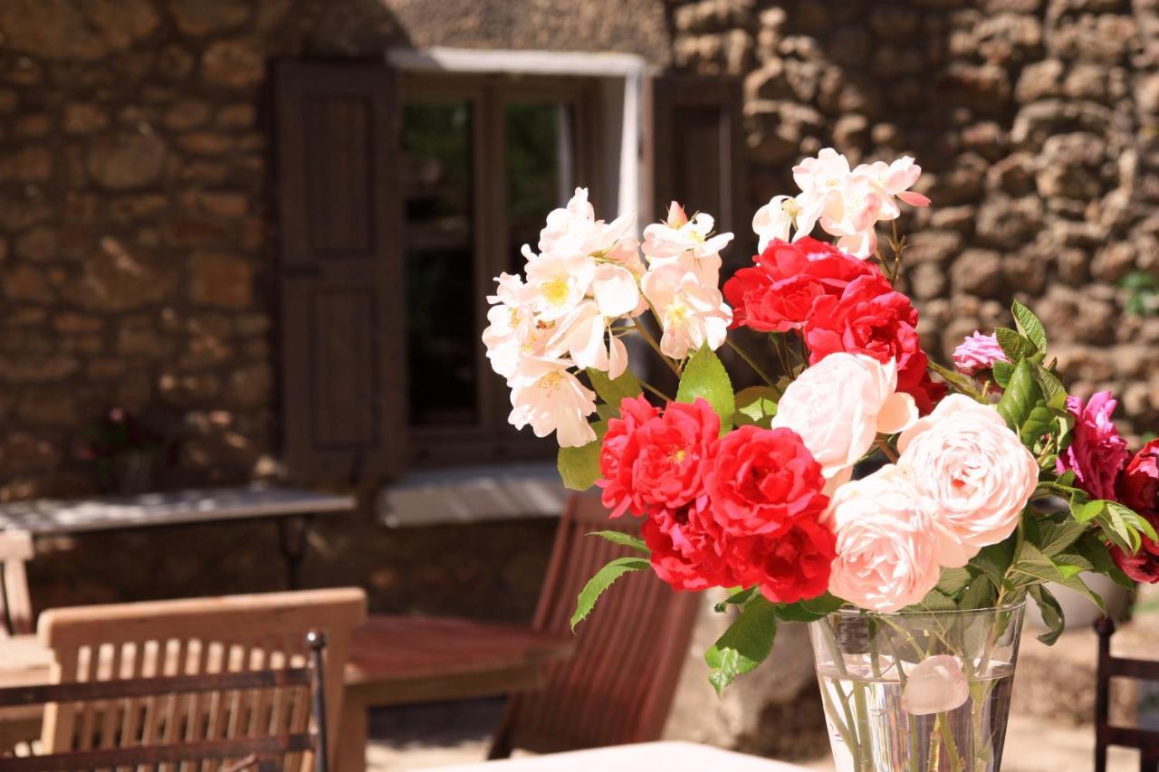 Bed and Breakfast Un Jardin Secret Yzeron Exteriér fotografie