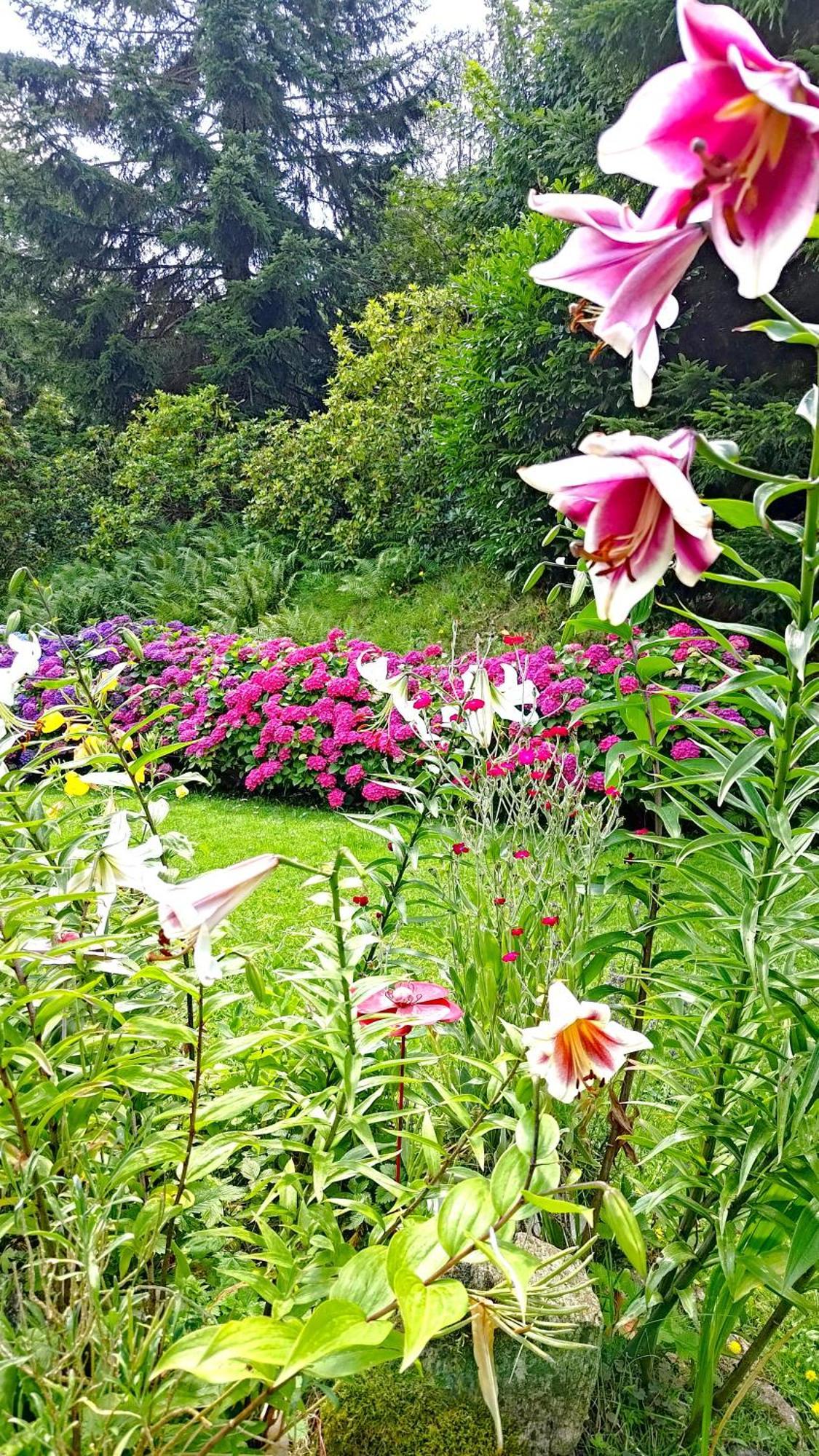 Bed and Breakfast Un Jardin Secret Yzeron Exteriér fotografie