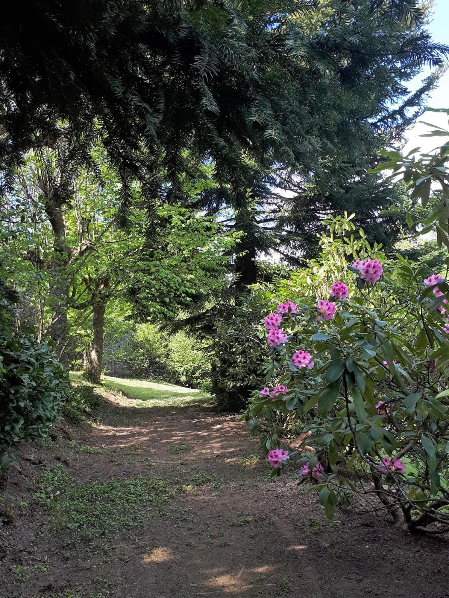 Bed and Breakfast Un Jardin Secret Yzeron Exteriér fotografie